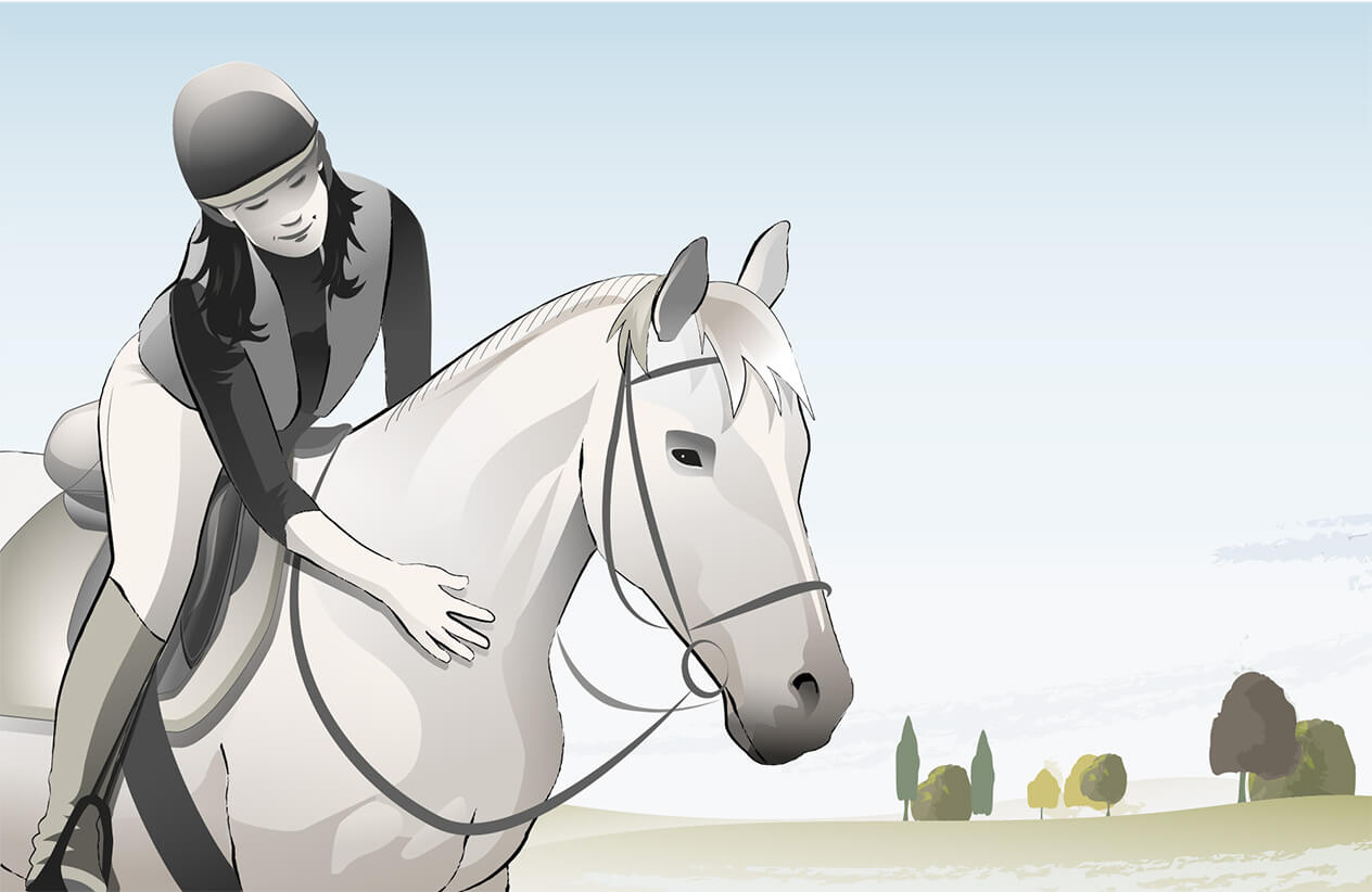 Assurance chevaux de Sport, Loisir, Elevage - Décès, vol et Frais vétérinaires